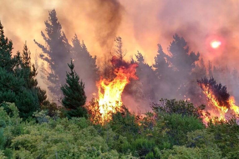 Los bosques de Epuyén siguen ardiendo