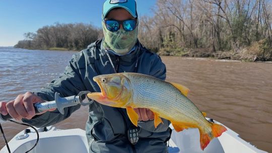 De costa o embarcados, 120 pesqueros para el fin de semana