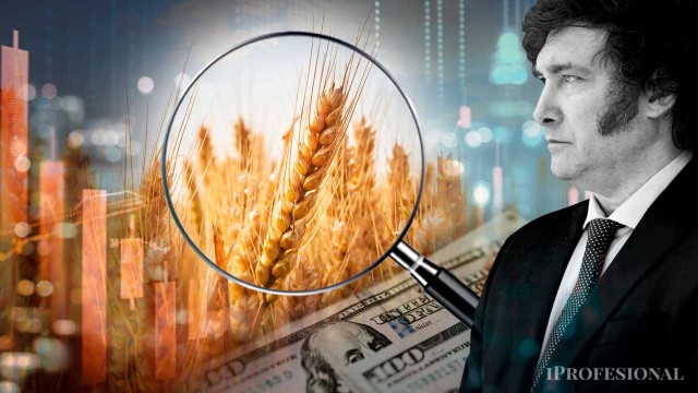 El detrás de escena de la baja de retenciones: la apuesta de Milei rumbo a las elecciones de octubre