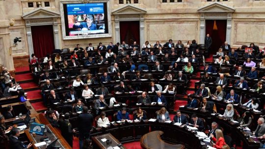 Diputados: rechazaron el veto a la emergencia en discapacidad pero el oficialismo logró blindar la moratoria previsional