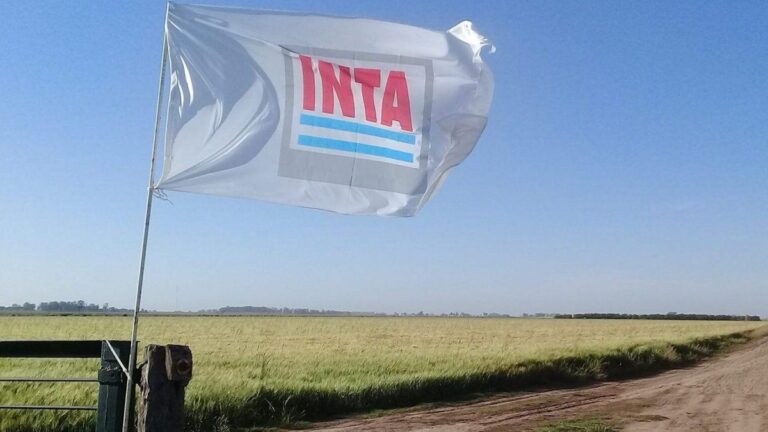El Gobierno pasó a disponibilidad a más de 300 empleados del INTA, INASE e INV