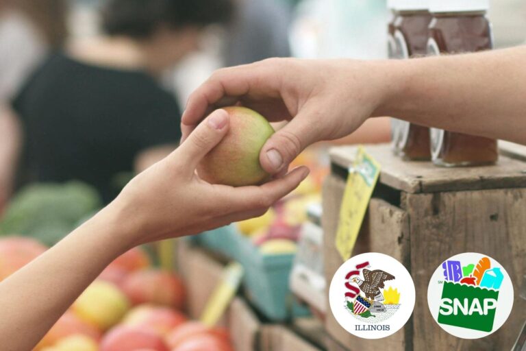 Calendario de pagos SNAP en Illinois: cuándo se hace el depósito del beneficio de septiembre