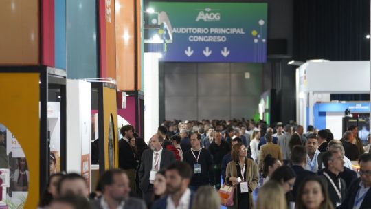 Afectada por la incertidumbre electoral, Vaca Muerta funcionó a media máquina y ahora reza para que no haya un octubre negro