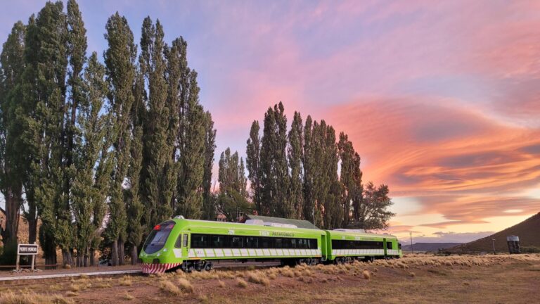 Cómo comprar pasajes para el Tren Patagónico y cuánto sale