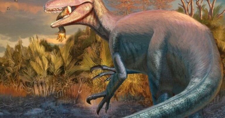 Descubrieron en Chubut los fósiles de un dinosaurio carnívoro que habría sido de los últimos en extinguirse